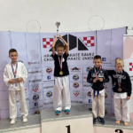 Karate Akademija Osijek, medalje